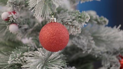 A red ornament on a frosted branch.